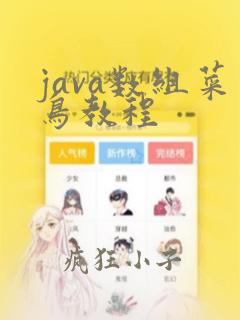 java数组菜鸟教程