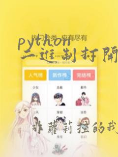 python 二进制打开文件