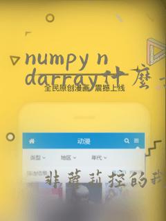 numpy ndarray什么意思