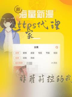 https代理厂家