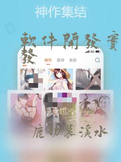 软件开发实例开发