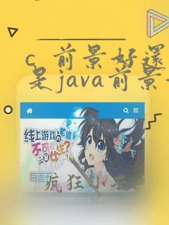c  前景好还是java前景好