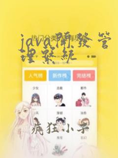 java开发管理系统