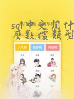 sql中文用什么数据类型