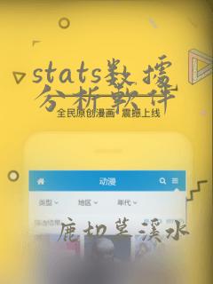 stats数据分析软件