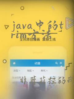 java中的trim方法