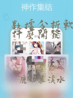 数据分析软件用什么开发