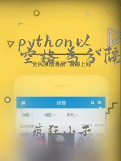 python以空格为分隔符