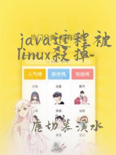 java进程被linux杀掉