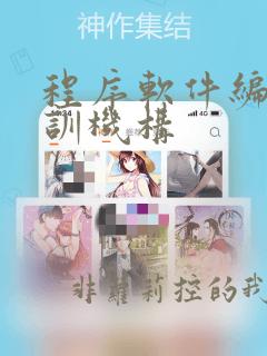 程序软件编程培训机构