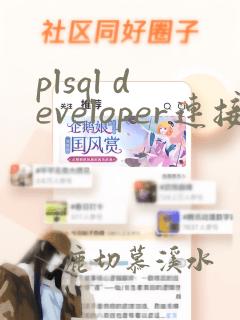 plsql developer连接远程数据库
