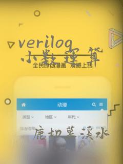 verilog小数运算