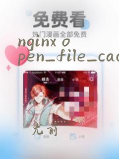 nginx open_file_cache