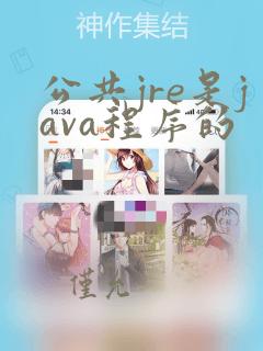 公共jre是java程序的