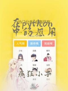 在python中的应用