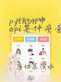 python中api是什么意思