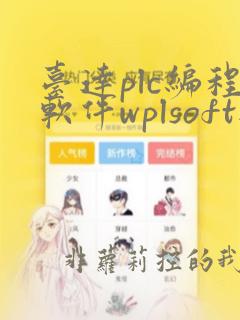 台达plc编程软件wplsoft与isp区别