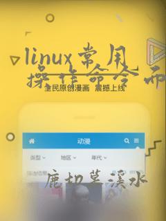 linux常用操作命令面试题
