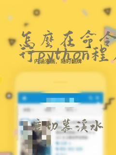怎么在命令行运行python程序