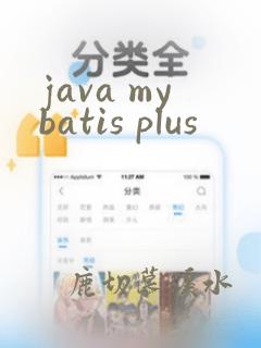 java mybatis plus