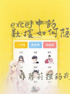excel中的数据如何隐藏一部分数据显示