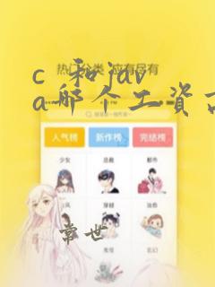 c  和java哪个工资高