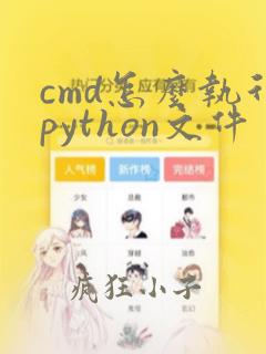 cmd怎么执行python文件