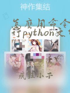 怎么用命令行运行python文件