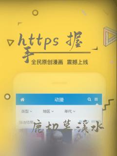 https 握手