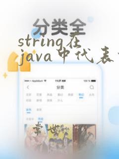 string在java中代表什么
