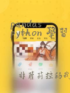 pandas python 学习