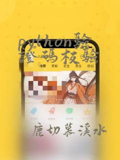 python验证码校验