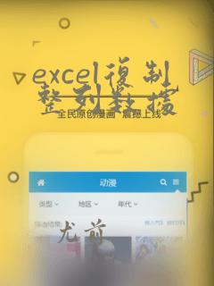 excel复制整列数据