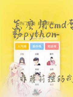 怎么用cmd启动python