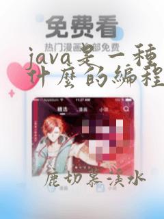 java是一种什么的编程语言