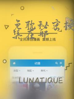 免耽秘密授课全集在哪