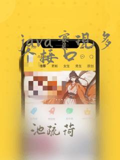 java实现多个接口