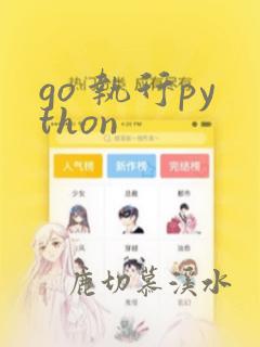 go 执行python