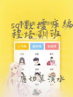 sql数据库编程培训班
