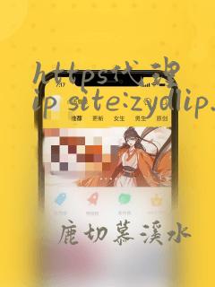 https代理ip site:zydlip.com