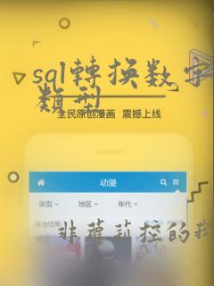 sql转换数字类型