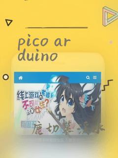 pico arduino