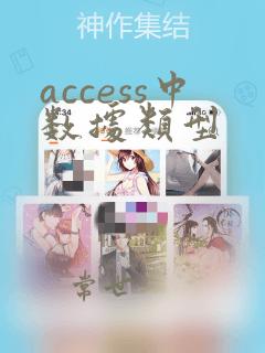 access中数据类型