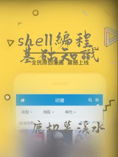 shell编程基础知识