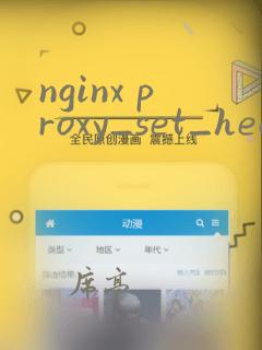 nginx proxy_set_header