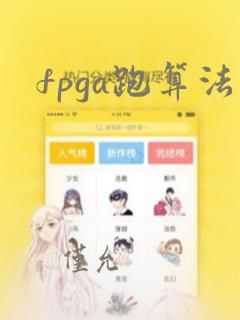 fpga跑算法