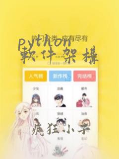 python 软件架构