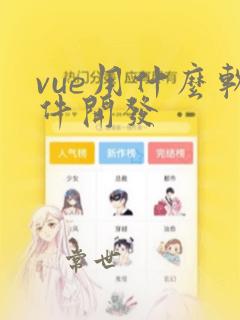 vue用什么软件开发