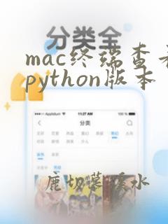 mac终端查看python版本