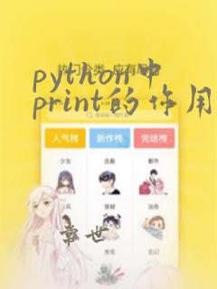 python中print的作用